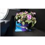 Stayhold® Metro Organiseur de Coffre de Voiture pour Courses et Cargaison, adhère aux Tapis, Voitures, camions, SUV, monospaces