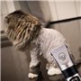 Retoo Tondeuse pour Chiens professionnelle sans fil, 4 Sabots, Faible bruit, idéale pour poils longs et épais, Pour Chat et Autr