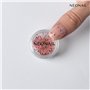 NEONAIL Fleurs Séchées - Set de décoration d'ongles - Nail Art Ongles - Deco Ongle Nail Art - Accessoire Ongle - 3 couleurs - ro