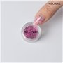 NEONAIL Fleurs Séchées - Set de décoration d'ongles - Nail Art Ongles - Deco Ongle Nail Art - Accessoire Ongle - 3 couleurs - ro