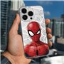 ERT GROUP Coque de téléphone Portable pour Apple Iphone 14 Pro Max Original et sous Licence Officielle Marvel Motif Spider Man 0
