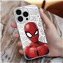 ERT GROUP Coque de téléphone Portable pour Apple Iphone 14 Pro Max Original et sous Licence Officielle Marvel Motif Spider Man 0