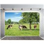 5m Toile de Fond Grasslawn 閠?Paysage Campagne et Vaches pâturage Prairie Verte Ciel Bleu Nuage Blanc Nature Fond