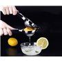 Felly Presse-citron Manuel Presse Agrumes Pour Citron Orange et Fruits (Argenté)