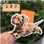 BETESSIN 6Pcs Marque-Pages Aimanté Enfant Bookmark Chien Signet Magnétique Marqueurs de livre pour Enseignant Étudiant Lecteur