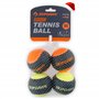 SKIPDAWG Tennis Lot de 4 balles de Tennis 170 g