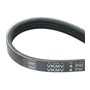 SKF VKMV 4PK788 Courroie Multi-V