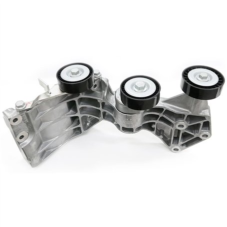 SKF VKM 38869 Kit de galet enrouleur multi-V