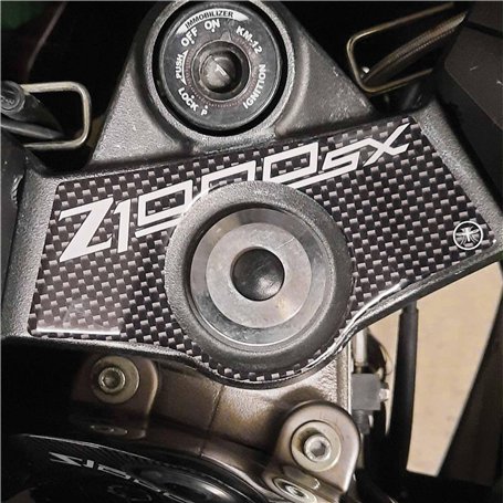 labelbike - Autocollant 3D en Résine Décoration et Protection de Plaque de Fourche Moto Compatible avec Kawasaki Z 1000SX Z1000