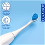 Têtes de brosse hydrosoniques Curaprox Power Duo pour des gencives saines, des appareils dentaires et des implants | Lot de 2 | 