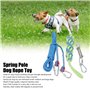 PENO Jouet de Corde pour Chien avec Perche à Ressort, Corde élastique pour Chien à Ressort en Acier Inoxydable pour Jouer en Ple