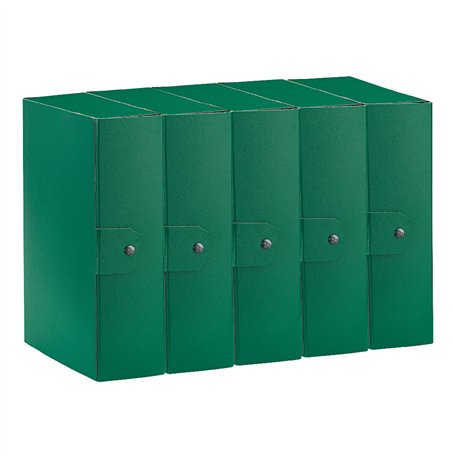 Esselte C30 EUROBOX 390330180 Lot de 5 dossiers pour le stockage