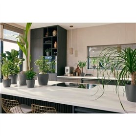 Mandrin à 4 Mâchoires Z011A, Pince de Mandrin de Tournage en Alliage de Zinc Robuste, Accessoire pour Pièce de tour à Micro Méta