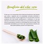 TABAIBA Aloe Vera Lait Corporel 250 ml crème hydratante à l'aloe vera