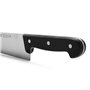 Couteau de cuisine Arcos serie universal Noir Acier 25 cm