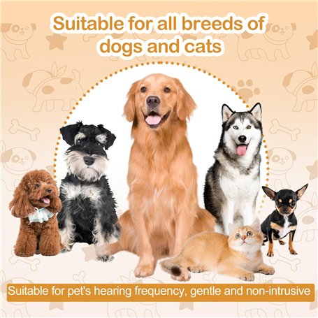 Lampe fluorescente compacte sans alimentation intégrée PL-C 18W8272P 1CT5X10BOX MASTER PL-C 2PIN 18 W PLC1882