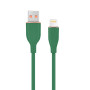 Câble Lightning GEMBIRD CC-USB2S-AM8PM-1 Vert 1