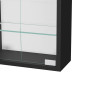 VDD Vitrine Murale Suspendue Debout - 30 x 60 x 13 cm