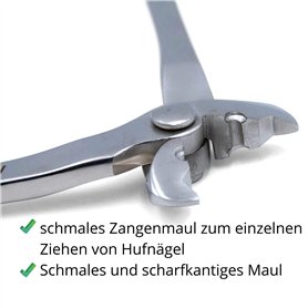 Calvin Klein Jeans SEASONAL MONOLOGO REGULAR HOODIE Sweat à capuche Homme, Vert (Ponderosa Pine), XXS