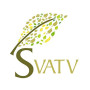 SVATV Fullers Terre Poudre | Multani Mitti | Argile de guérison indienne | Masque visage purifiant les pores de la peau profonde