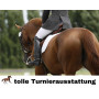Amesbichler Reitsport Femme Plastron Crystal Équitation/dressage Harry`s Horse