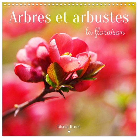 Arbres et arbustes la floraison (Calendrier mural carré 2026