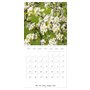 Arbres et arbustes la floraison (Calendrier mural carré 2026, 30 x 60 cm (ouvert)) Calendrier double avec une page pour vos pris