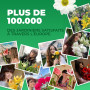 Mélange de Bulbes de Tulipes de Printemps - 50 Bulbes - Tulipes Exclusives des Pays-Bas - 15 Variétés - Rustiques et Vivaces - T