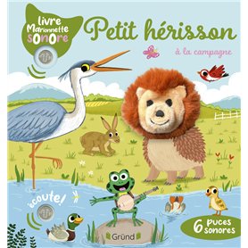 Petit hérisson à la campagne Petit hérisson à la campagne