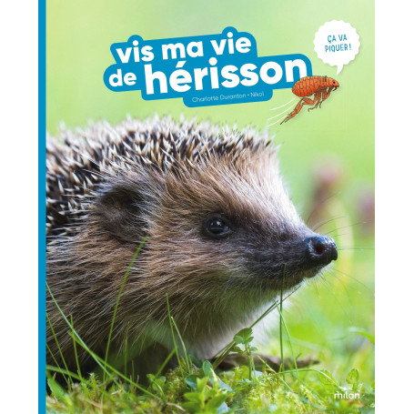 Vis ma vie de hérisson