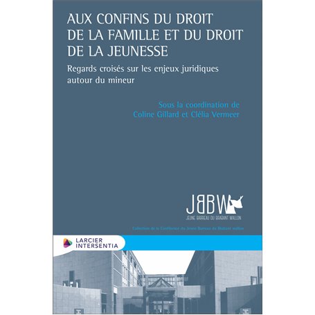 Aux confins du droit de la famille et du droit de la jeunesse - Regards croisés sur les enjeux jurid