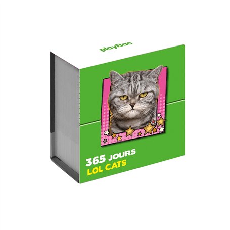 Mini calendrier 365 jours LOL Cats 8,80 €