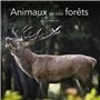 Calendrier 2026 - Animaux de nos forêts