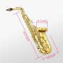 WUQIMUSC Saxophone alto débutant pour adultes, étudiant, saxophone Eb, instrument professionnel en laiton avec étui pour saxopho