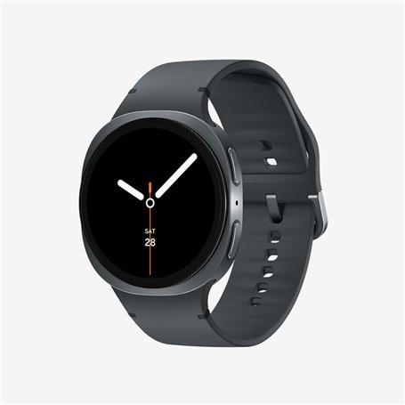 Montre intelligente Samsung SM-L320NDAAEUB Gris 1