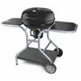 Barbecue Portable Fieldmann FZG 1014 Métal Acier