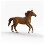 Playset Schleich Horse Club 42711 Hannah & Cayenne