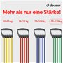 Schmidt Sports Tendeur de musculation "Elastikon Expander IV "25kg/125 kg vert