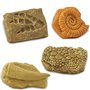 Safari - 684804 - Figurine - Tubo Fossiles