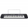 Casio CTK-240 Clavier 49 touches Noir
