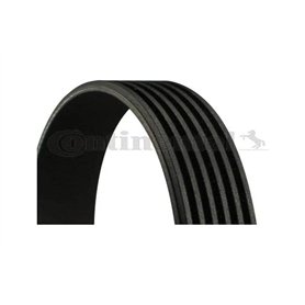 Continental Contitech 6PK780 ELAST Courroie trapézoïdale à nervures Continental Contitech 6PK780 ELAST Courroie trapézoïdale à nervures
