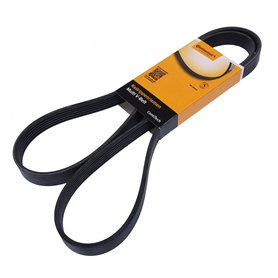 Continental Contitech 6PK1555 Courroie trapézoïdale à nervures Continental Contitech 6PK1555 Courroie trapézoïdale à nervures