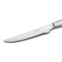 Arcos Couteau de Table - Lame Dentelée Acier Inoxydable 11 cm - Idéal pour Viandes - Monobloc Acier Inoxydable - Série Couteaux