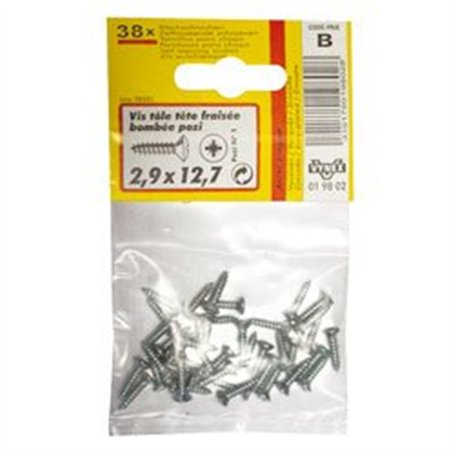 VYNEX Vis tôle tfb Parker 4.19x19