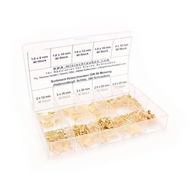 Boîte d'assortiment de 360 pièces petites vis à bois selon DIN 96, plat, tête bombée en laiton à partir de 1,6 x 8. minischr aub Boîte d'assortiment de 360 pièces petites vis à bois selon DIN 96