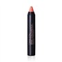 Camaleon Basic Color Stick Nude
