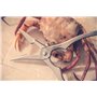 ARCOS Pinces à Fruits de Mer en Acier Inoxydable 185 Mm et Manche Ergonomique. Instrument Professionnel pour Couper Les Fruits d