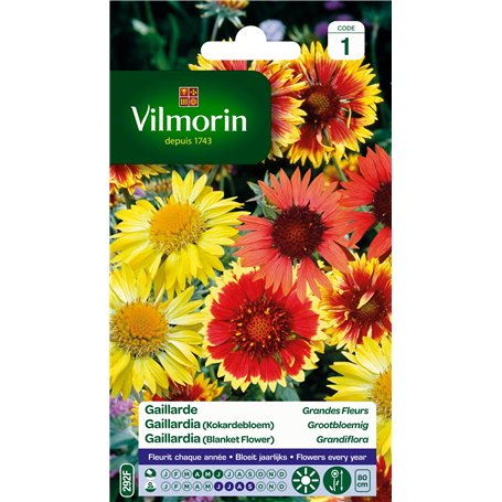 Vilmorin 5271241 Gaillarde variée à grande fleur Multicolore 9 x 0