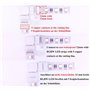 LITAELEK 10pcs Connecteur d'angle Bande LED 5 Broches pour RGBW LED Strip de 12mm Large Connecteur en Forme de L Ruban LED RGBW 