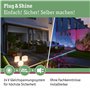 Paulmann 93934 Outdoor Plug&Shine Spot Sting LED, IP67, 520lm, 3000K, 6W, 24V, Anthracite, Alu